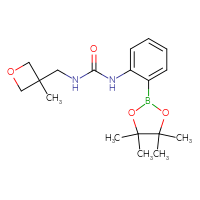 Chemical structure of 3-[(3-methyloxetan-3-yl)methyl]-1-[2-(4,4,5,5-tetramethyl-1,3,2-dioxaborolan-2-yl)phenyl]urea - CSSB02533539426