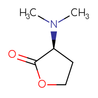 C6H11NO2