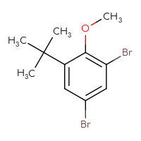 Chemical structure of 1,5-dibromo-3-tert-butyl-2-methoxybenzene - CSSB00010730500