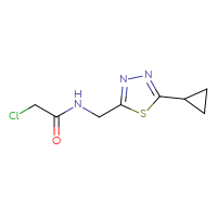 Chemical structure of 2-chloro-N-[(5-cyclopropyl-1,3,4-thiadiazol-2-yl)methyl]acetamide - CSSB09889946945