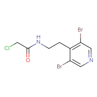 Chemical structure of 2-chloro-N-[2-(3,5-dibromopyridin-4-yl)ethyl]acetamide - CSSB01265609111