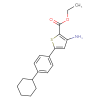 Chemical structure of ethyl 3-amino-5-(4-cyclohexylphenyl)thiophene-2-carboxylate - CSSB00020599762
