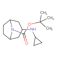 Chemical structure of tert-butyl 3-(cyclopropylamino)-8-azabicyclo[3.2.1]octane-8-carboxylate - CSSB00011435304