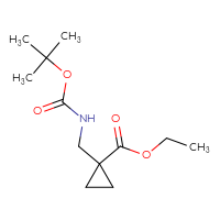 C12H21NO4