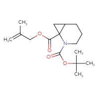 C16H25NO4