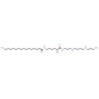 Chemical structure of N-[(5R)-5-amino-5-{[3-({4-[(3-aminopropyl)amino]butyl}amino)propyl]carbamoyl}pentyl]hexadecanamide - CSSB14929381894