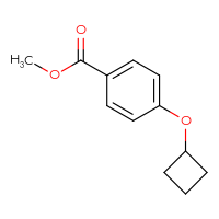 Chemical structure of methyl 4-cyclobutoxybenzoate - CSSB00010261472