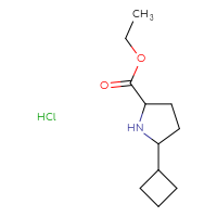 Chemical structure of ethyl 5-cyclobutylpyrrolidine-2-carboxylate hydrochloride - CSSB21043417479