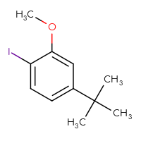 Chemical structure of 4-tert-butyl-1-iodo-2-methoxybenzene - CSSB00046199155