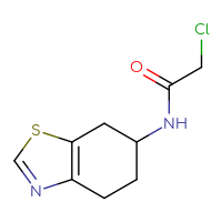 Chemical structure of 2-chloro-N-(4,5,6,7-tetrahydro-1,3-benzothiazol-6-yl)acetamide - CSSB09888511852