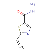 Chemical structure of 2-ethenyl-1,3-thiazole-5-carbohydrazide - CSSB21151595703