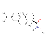 Chemical structure of (1R,4aS,10aR)-N-methoxy-N,1,4a-trimethyl-7-(propan-2-yl)-1,2,3,4,4a,9,10,10a-octahydrophenanthrene-1-carboxamide - CSSB16471483880