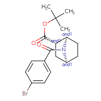 Chemical structure of rac-tert-butyl (1R,2S,4S)-7-(4-bromobenzoyl)-7-azabicyclo[2.2.1]heptane-2-carboxylate - CSSB21432542956