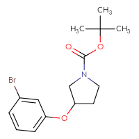 Chemical structure of tert-butyl 3-(3-bromophenoxy)pyrrolidine-1-carboxylate - CSSB00134771600