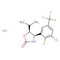 C13H13Cl2F4NO2