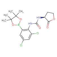 Chemical structure of 1-[2,4-dichloro-6-(4,4,5,5-tetramethyl-1,3,2-dioxaborolan-2-yl)phenyl]-3-[(3S)-2-oxooxolan-3-yl]urea - CSSB21332139580
