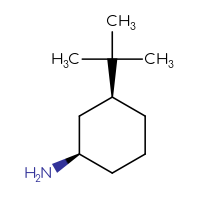C10H21N