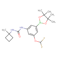 Chemical structure of 1-[3-(difluoromethoxy)-5-(4,4,5,5-tetramethyl-1,3,2-dioxaborolan-2-yl)phenyl]-3-(1-methylcyclobutyl)urea - CSSB21332131465