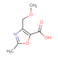 C7H9NO4