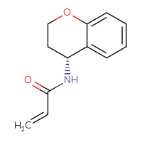Chemical structure of N-[(4R)-3,4-dihydro-2H-1-benzopyran-4-yl]prop-2-enamide - CSSB06261883979