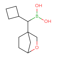 C11H19BO3