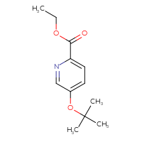 Chemical structure of ethyl 5-(tert-butoxy)pyridine-2-carboxylate - CSSB01993096098