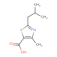 Chemical structure of 4-methyl-2-(2-methylpropyl)-1,3-thiazole-5-carboxylic acid - CSSB00000751008