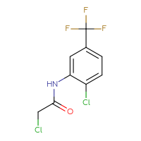 C9H6Cl2F3NO