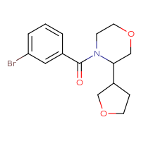 Chemical structure of 4-(3-bromobenzoyl)-3-(oxolan-3-yl)morpholine - CSSB01215612879