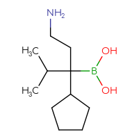 C11H24BNO2