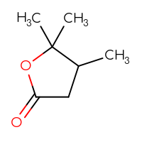 Chemical structure of 4,5,5-trimethyloxolan-2-one - CSSB00000087768