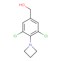 C10H11Cl2NO