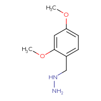 Chemical structure of [(2,4-dimethoxyphenyl)methyl]hydrazine - CSSB00000185952