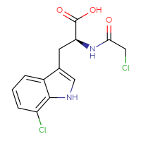 Chemical structure of (2S)-3-(7-chloro-1H-indol-3-yl)-2-(2-chloroacetamido)propanoic acid - CSSB21531615475