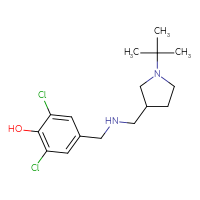 C16H24Cl2N2O