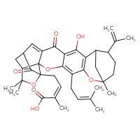 Chemical structure of (2Z)-4-[14-hydroxy-8,23,23-trimethyl-5-(3-methylbut-2-en-1-yl)-16,20-dioxo-11-(prop-1-en-2-yl)-3,7,22-trioxaheptacyclo[17.4.1.1⁸,¹².0²,¹⁷.0²,²¹.0⁴,¹⁵.0⁶,¹³]pentacosa-4,6(13),14,17-tetraen-21-yl]-2-methylbut-2-enoic acid - CSSB14945325217