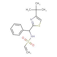 Chemical structure of N-[(4-tert-butyl-1,3-thiazol-2-yl)(phenyl)methyl]ethene-1-sulfonamide - CSSB21332102453
