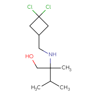 C11H21Cl2NO
