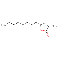 Chemical structure of 3-methylidene-5-octyloxolan-2-one - CSSB00010733756