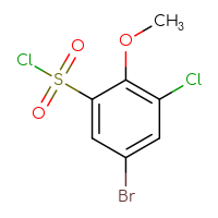 C7H5BrCl2O3S