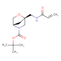 Chemical structure of tert-butyl (1R,4S)-1-[(prop-2-enamido)methyl]-2-oxa-5-azabicyclo[2.2.1]heptane-5-carboxylate - CSSB20678765580