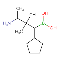 C11H24BNO2