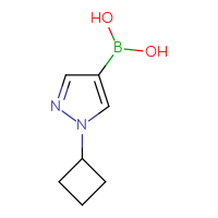 C7H11BN2O2