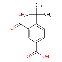 Chemical structure of 4-tert-butylbenzene-1,3-dicarboxylic acid - CSSB00010743729