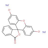 Chemical structure of disodium 3-oxo-3H-spiro[2-benzofuran-1,9'-xanthene]-3',6'-bis(olate) - CSSB00016999372