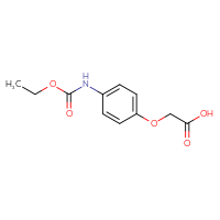 Chemical structure of 2-{4-[(ethoxycarbonyl)amino]phenoxy}acetic acid - CSSB00005784327