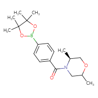 Chemical structure of (5S)-2,5-dimethyl-4-[4-(4,4,5,5-tetramethyl-1,3,2-dioxaborolan-2-yl)benzoyl]morpholine - CSSB02533285037