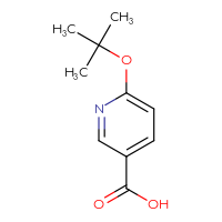 Chemical structure of 6-(tert-butoxy)pyridine-3-carboxylic acid - CSSB00000697770