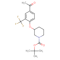 Chemical structure of tert-butyl 3-[4-acetyl-2-(trifluoromethyl)phenoxy]piperidine-1-carboxylate - CSSB00132306975