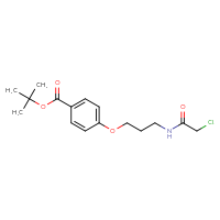 Chemical structure of tert-butyl 4-[3-(2-chloroacetamido)propoxy]benzoate - CSSB21332100980